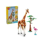 LEGO LEGO Creator Wild Safari Animals (3-in-1)