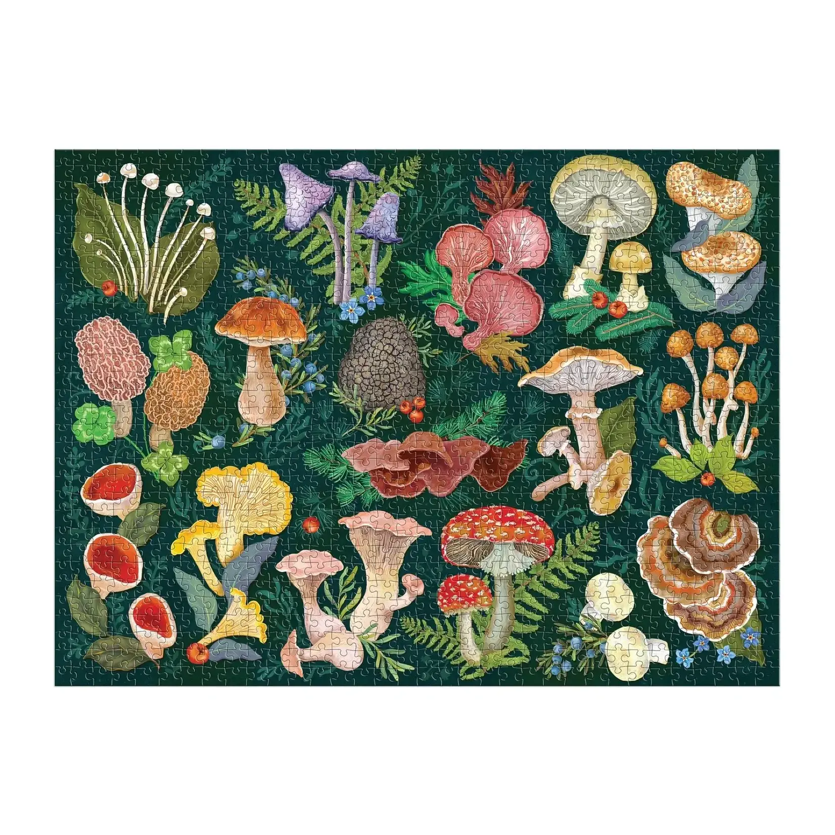 Galison World of Mushrooms, 1000-Piece Jigsaw Puzzle