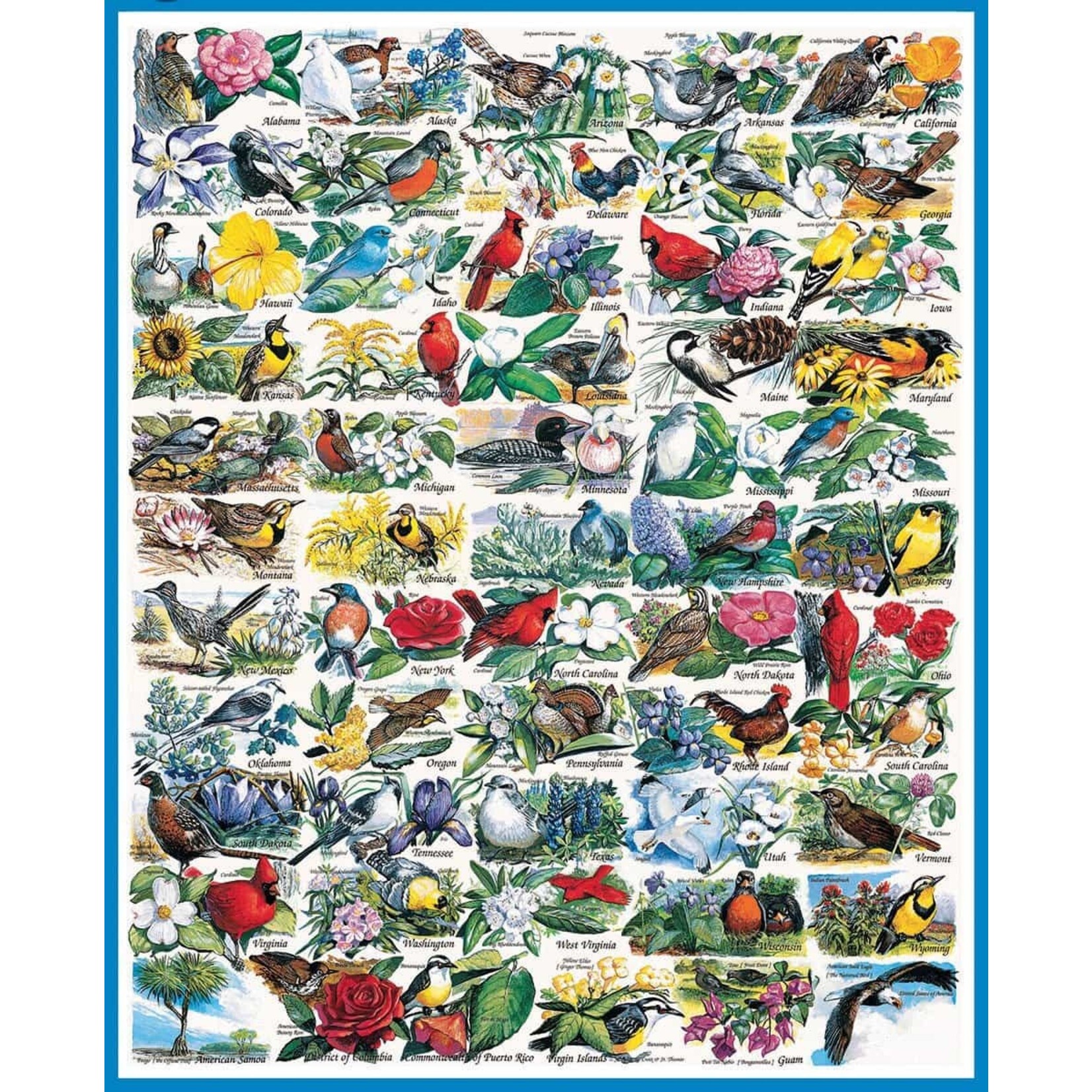 White Mountain Puzzles State Birds & Flowers, 1000-Piece Jigsaw Puzzle