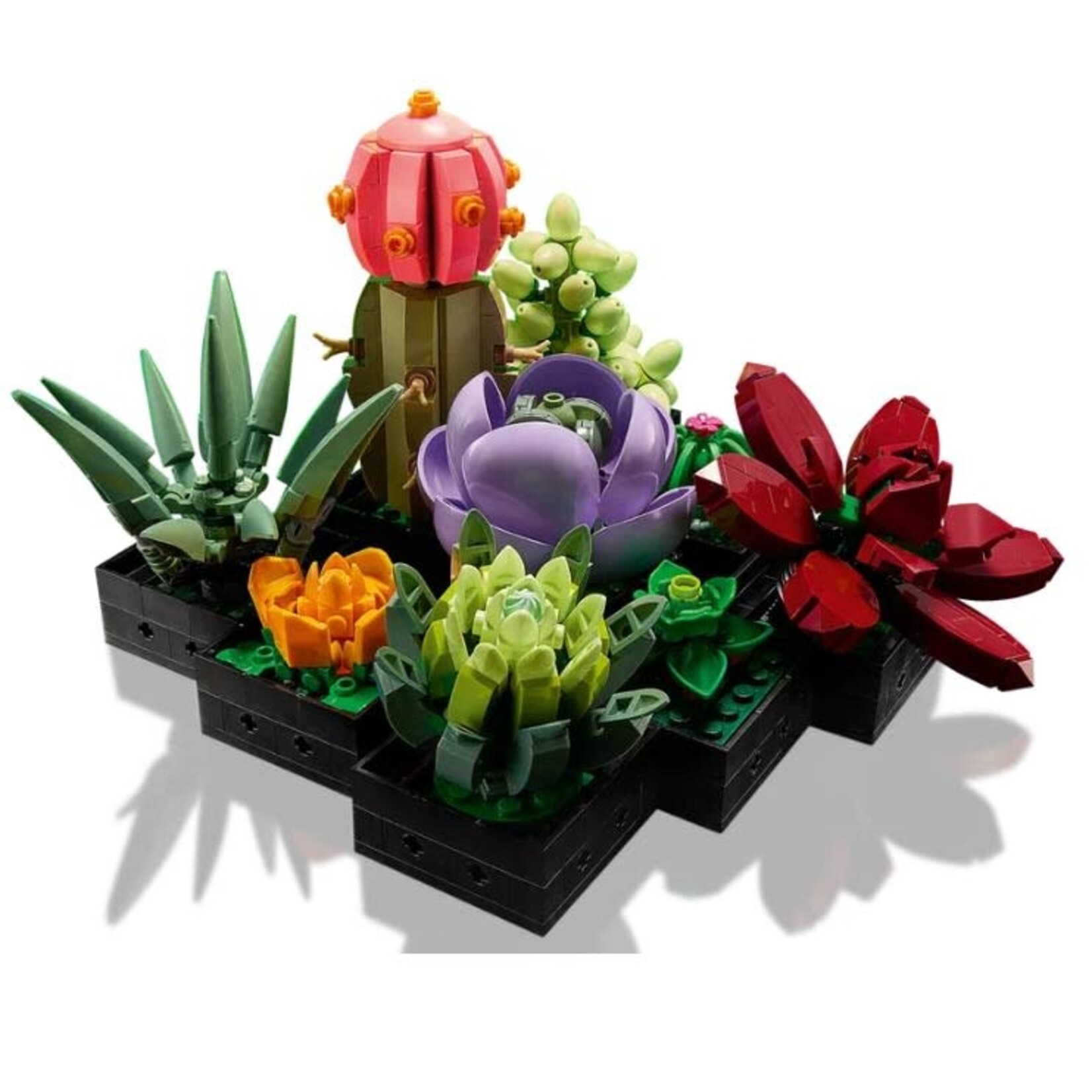 LEGO LEGO Creator Expert Succulents (10309)