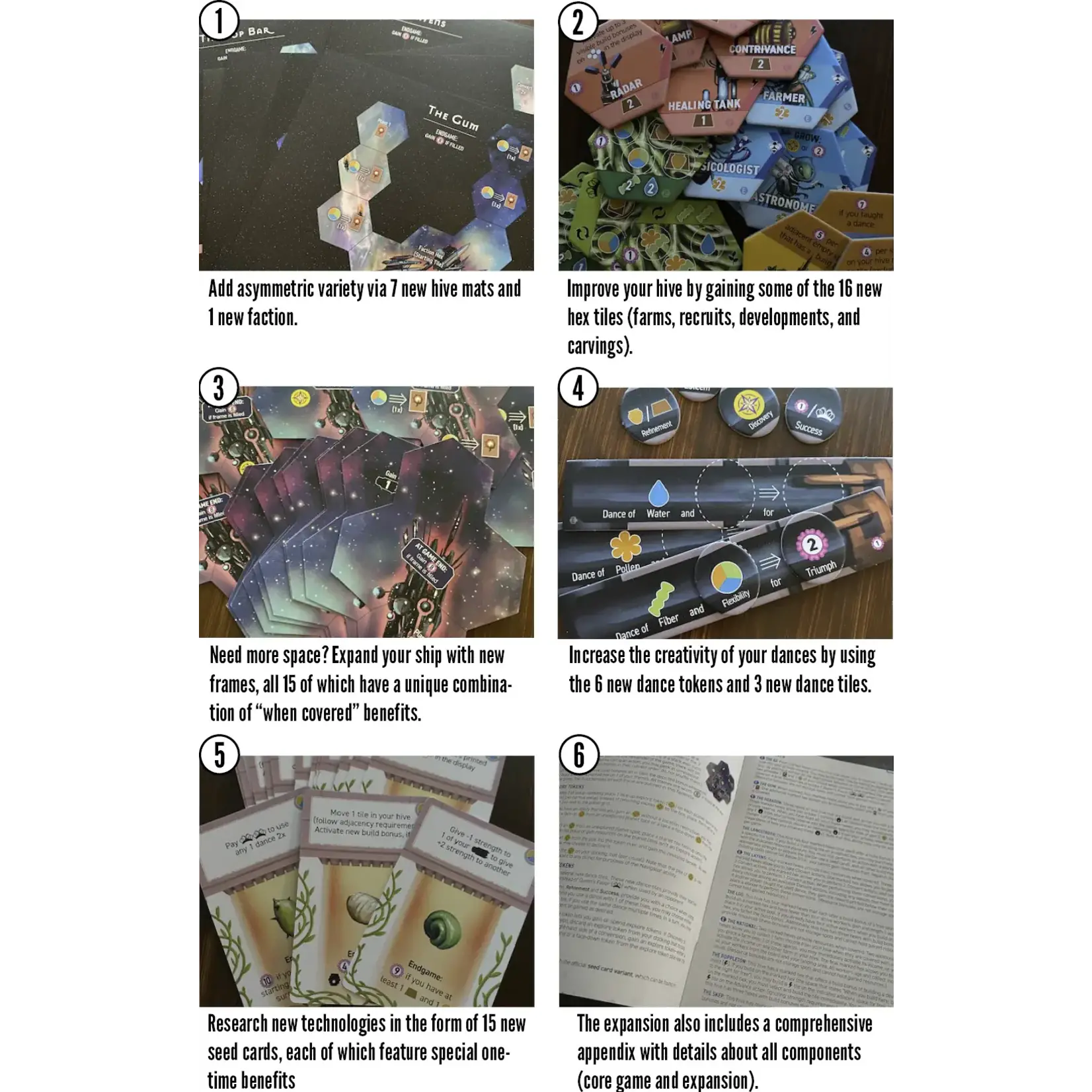 Stonemaier Games Apiary: Expanding the Hive (Expansion)