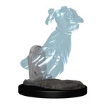 WizKids D&D Minis: Ghost & Banshee (W1 72564)
