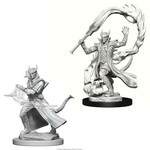 WizKids D&D Minis: Male Tiefling  Sorcerer (W4 73201)