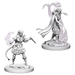 WizKids D&D Minis: Female Tiefling Sorcerer W4 73202