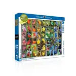 New York Puzzle Company Rainbow of Birds 1000-Piece Jigsaw Puzzle