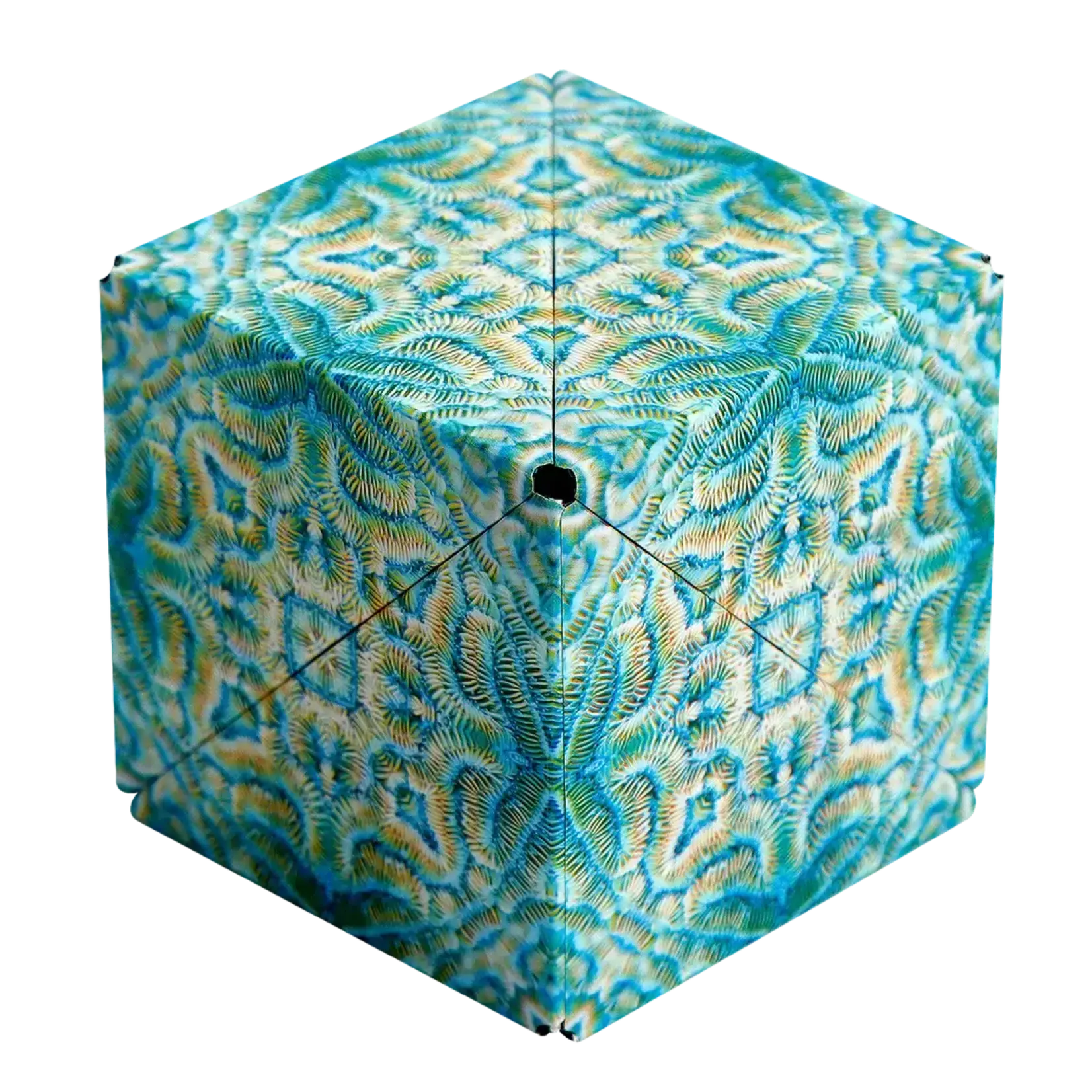 Fun in Motion Toys Shashibo Cube Undersea