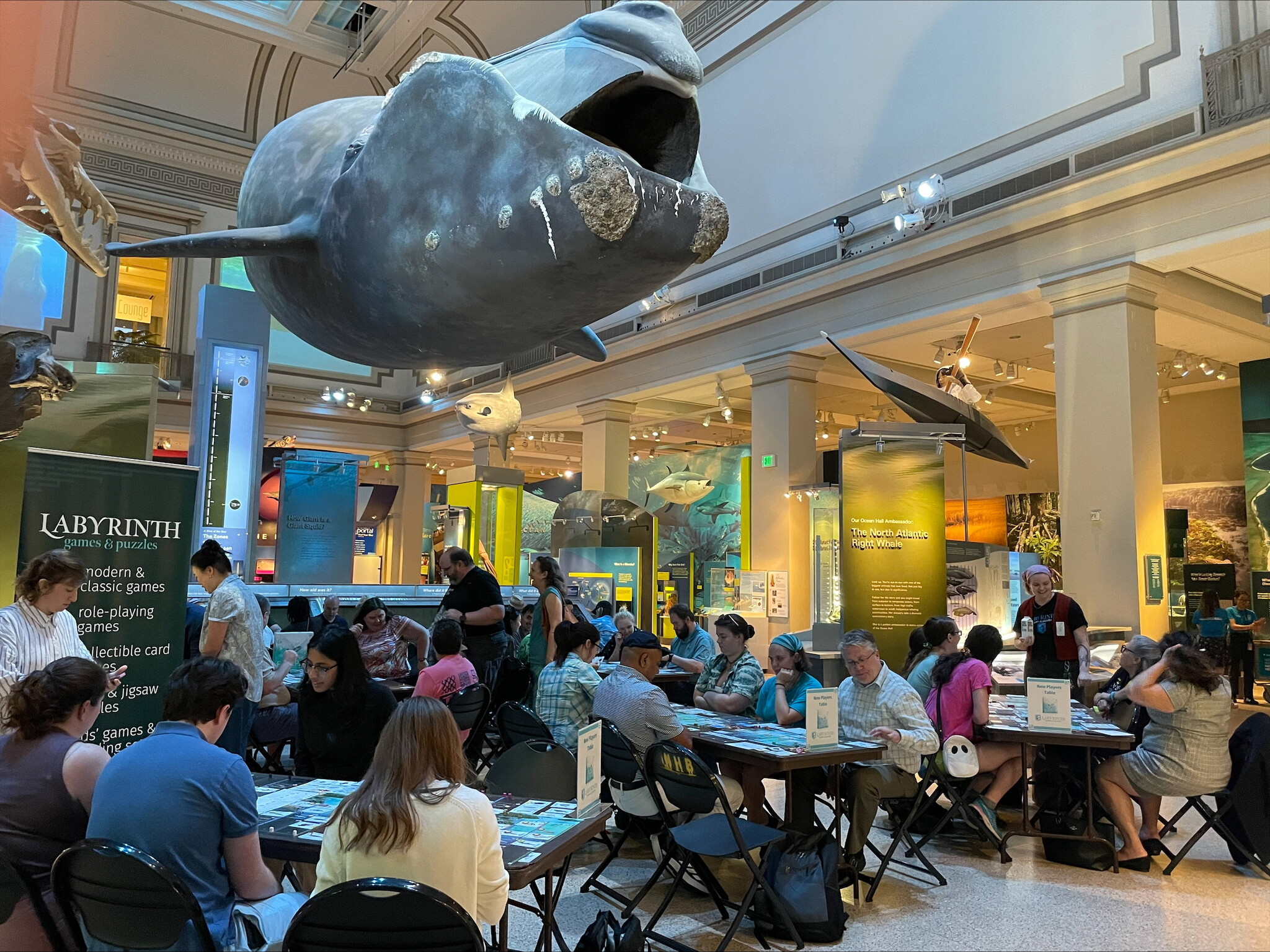 Playing Games Under Giant Whale