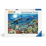 Ravensburger Beneath The Sea 5000 Piece Jigsaw Puzzle