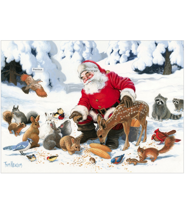 Santa Claus and Friends Family Puzzle 350pc