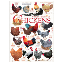 Chicken Quotes Puzzle 1000pc