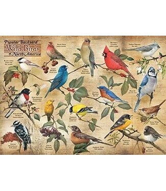 Popular Backyard Wild Birds of N.A.  Puzzle 1000pc
