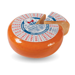 SPECIAL: X-Aged Gouda Cheese from Holland