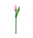 Mini Wooden Dutch Tulip White & Pink
