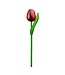 Large Wooden Dutch Tulip Red & Aubergine