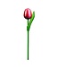 Large Wooden Dutch Tulip Red & White