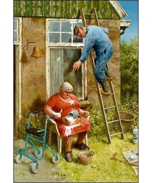 Marius van Dokkum Do it yourselfer Puzzle 1000pc