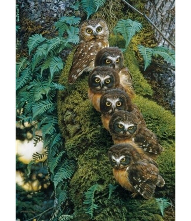 Family Tree Puzzle 1000pc