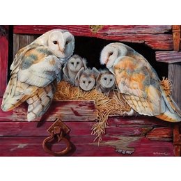 Barn Owls Puzzle 1000pc (LB)