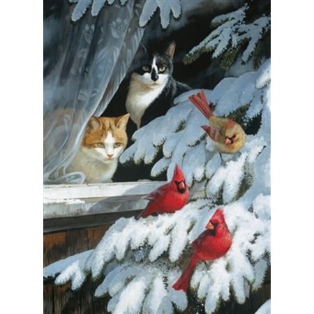 Bird Watchers Puzzle 1000pc