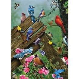 Birds of the Forest Puzzle 1000pc