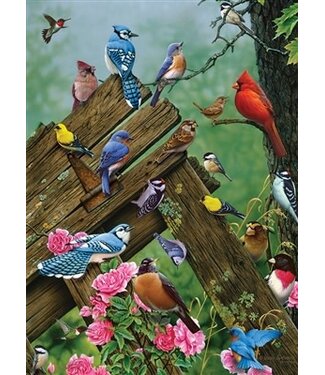 Birds of the Forest Puzzle 1000pc