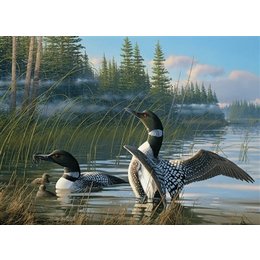 Common Loons  Puzzle 1000pc
