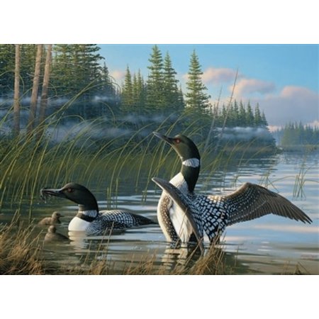 Common Loons  Puzzle 1000pc (LB)