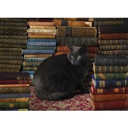Library Cat Puzzle 1000pc