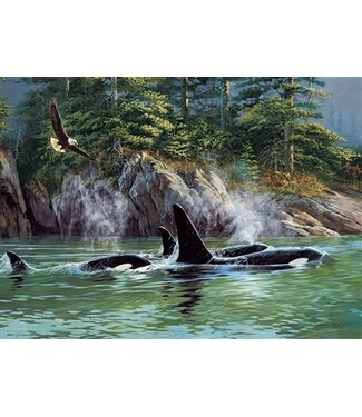 Orcas Puzzle 1000pc
