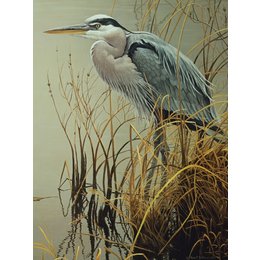 Great Blue Heron Puzzle 500pc