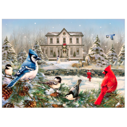 Country House Birds Puzzle 1000pc