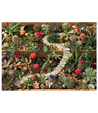 Succulent Garden Puzzle 1000pc