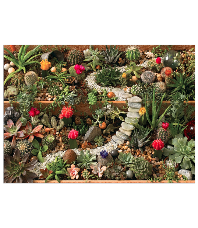 Succulent Garden Puzzle 1000pc