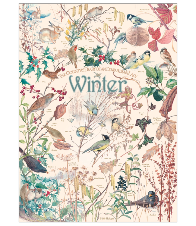Country Diary: Winter Puzzle 1000pc