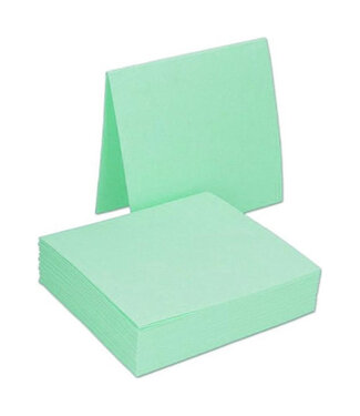 Cleaning Cloths 1pc - Green