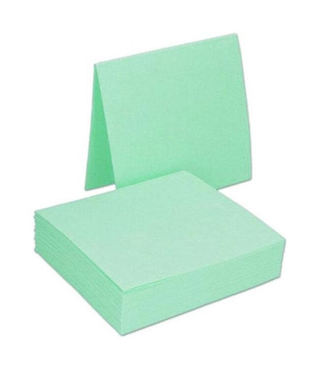 Cleaning Cloths 1pc - Green