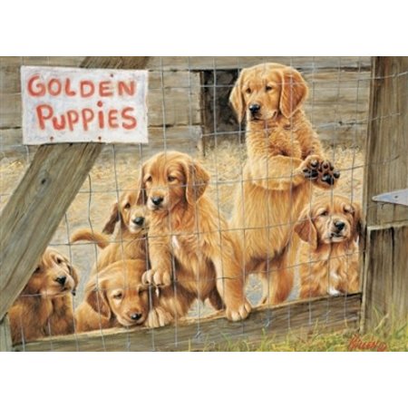 Golden Puppies Puzzle 500pc