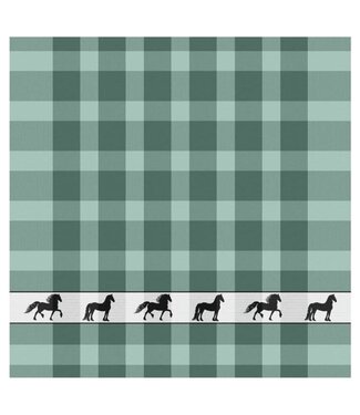 TEA Towel Shanti Green DDDDD