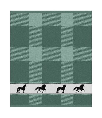 Hand Towel Shanti Green DDDDD