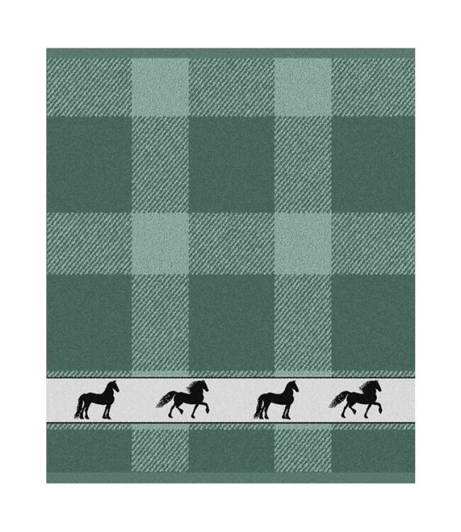 Hand Towel Shanti Green DDDDD