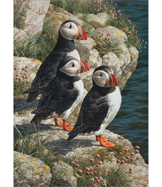 Fisherman's Wharf Puzzle 500pc