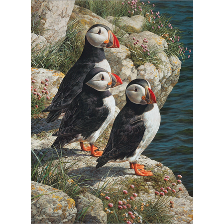 Fisherman's Wharf Puzzle 500pc