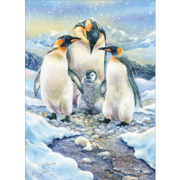 Penguin Family,  Family Puzzle 350pc