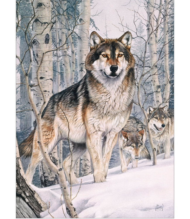 Second Glance Puzzle 1000pc