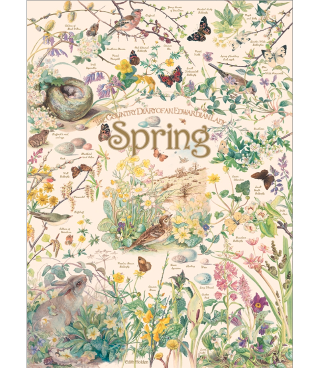 Country Diary: Spring Puzzle 1000pc