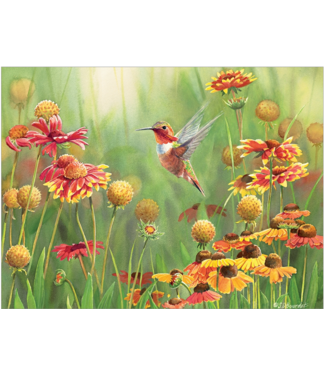 Rufous Hummingbird Puzzle 500pc
