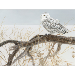 Fallen Willow  Snowy Owl Puzzle 500pc