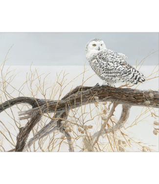 Fallen Willow  Snowy Owl Puzzle 500pc
