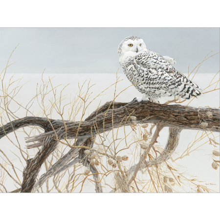 Fallen Willow  Snowy Owl Puzzle 500pc