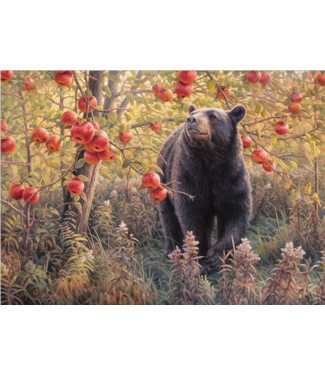 Den Dreams Puzzle 500pc